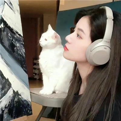 终结杉计划